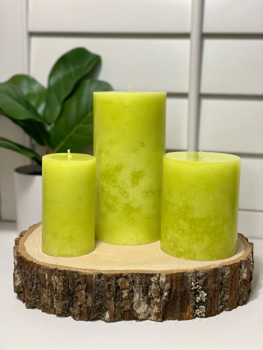 Eucalyptus Pillar Candle